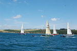 DSC_2411.JPG