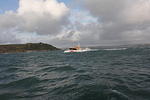 IMG_1584.JPG